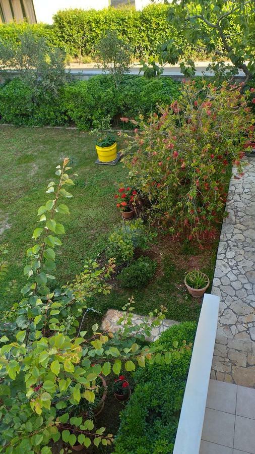 זאדאר Apartment Manda מראה חיצוני תמונה