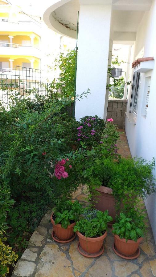 זאדאר Apartment Manda מראה חיצוני תמונה